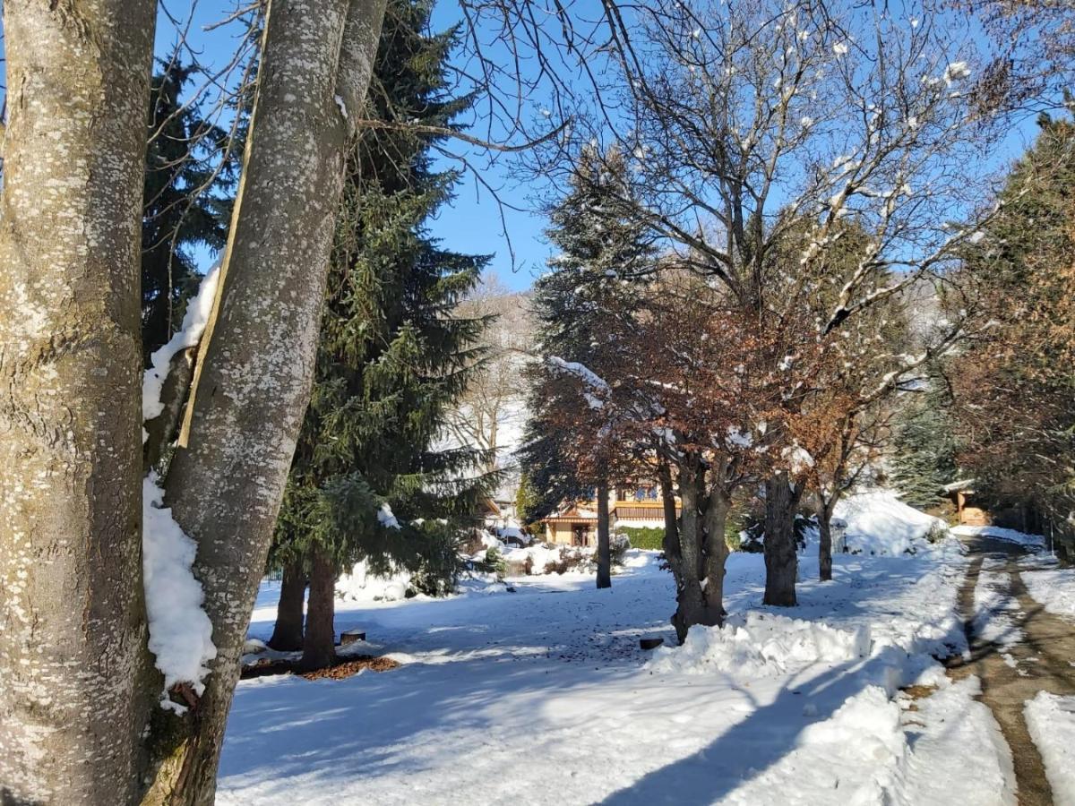 B&B Pension Karlsdorfer Hof Зеебоден Екстериор снимка
